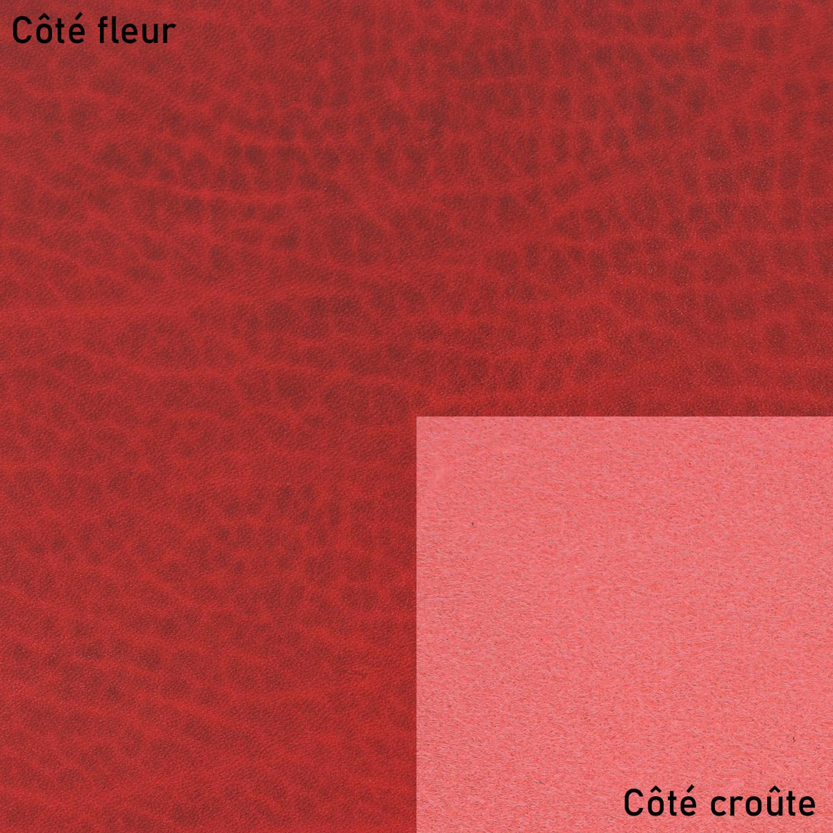 Collet tannage végétal SAUVAGE - ROUGE