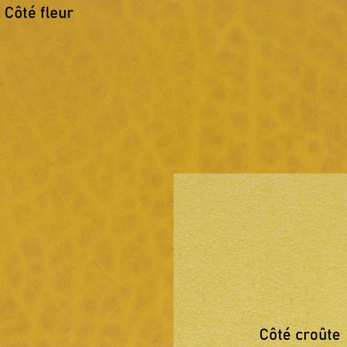 Cuir collet tannage végétal SAUVAGE - JAUNE