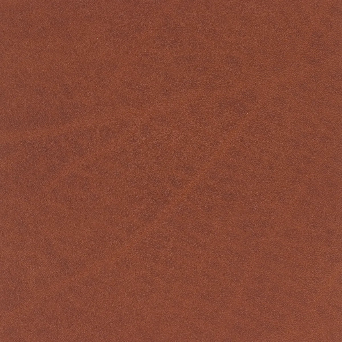 Morceau de cuir de collet tannage végétal SAUVAGE MAT - COGNAC SAU21 - Deco Cuir