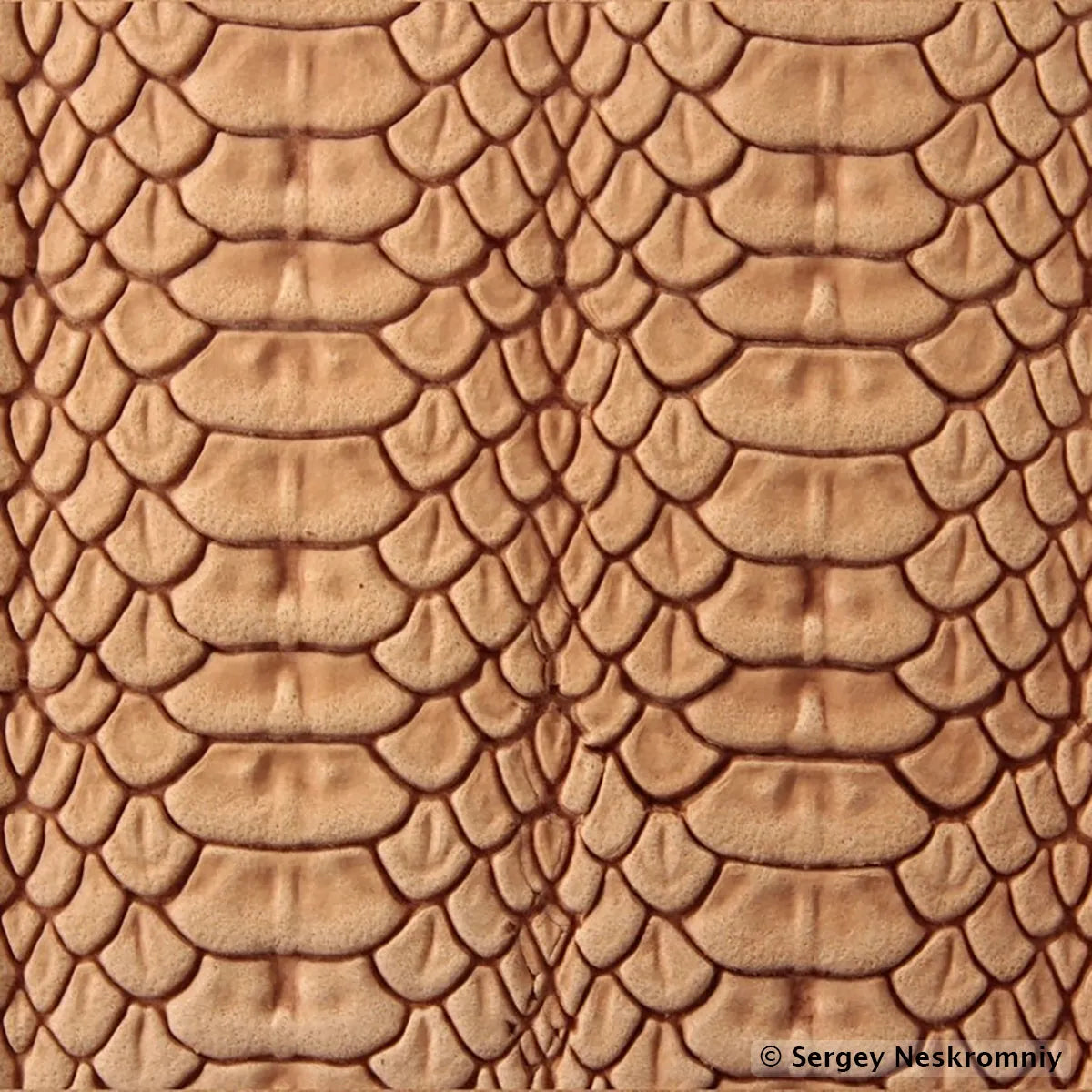 Matoir cuir Sergey Neskromniy n° 395B - Peau de reptile