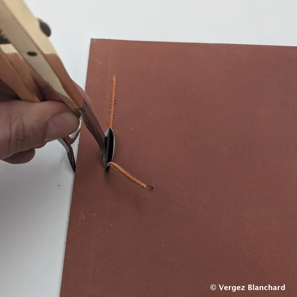 Utilisation compas à rainette Vergez Blanchard