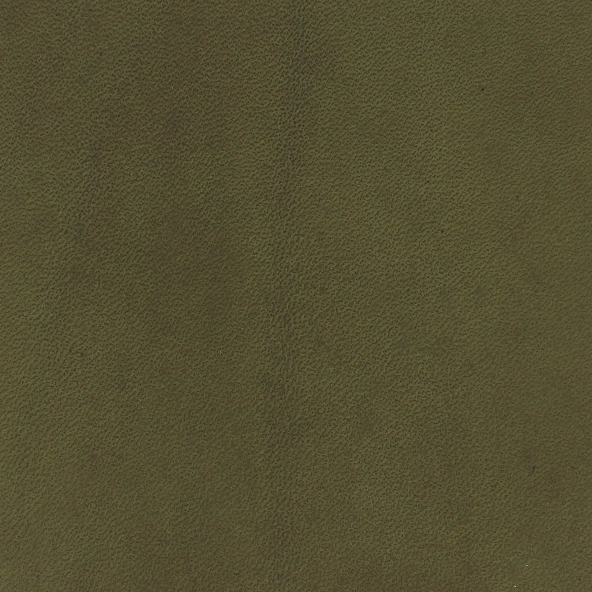 Teinture sur cuir tannage végétal kaki