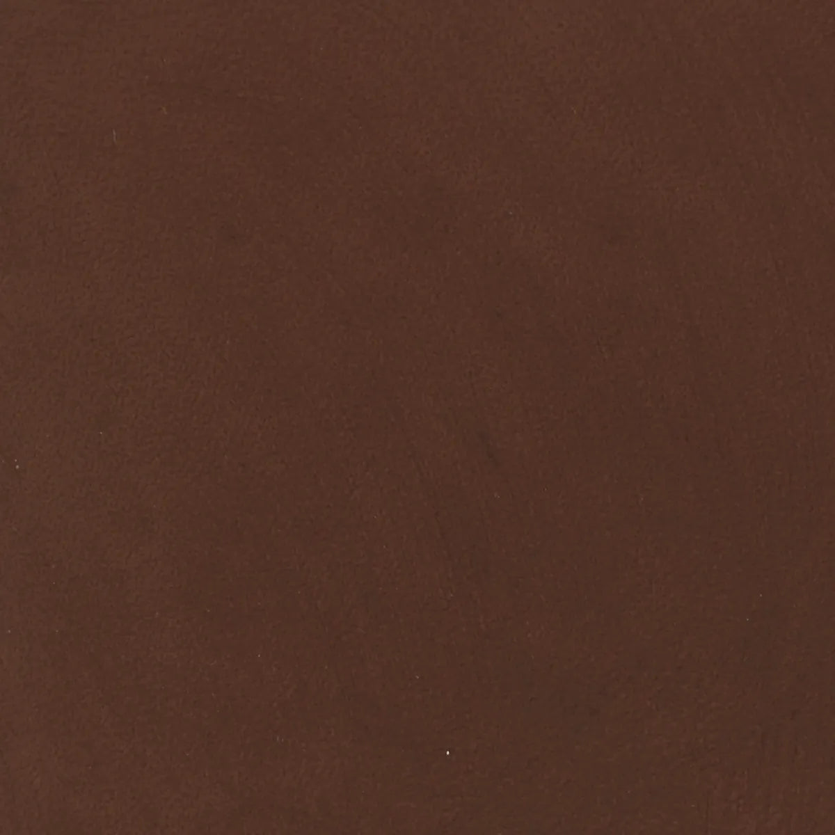 Teinture sur cuir tannage végétal marron