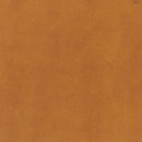 Teinture cuir - Deco Cuir - FAUVE 