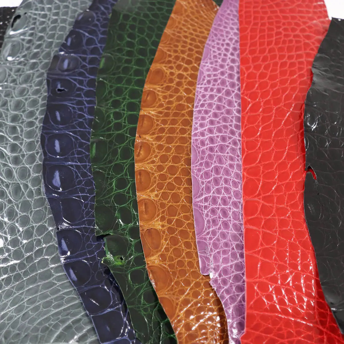 cuir alligator crocodile deco cuir