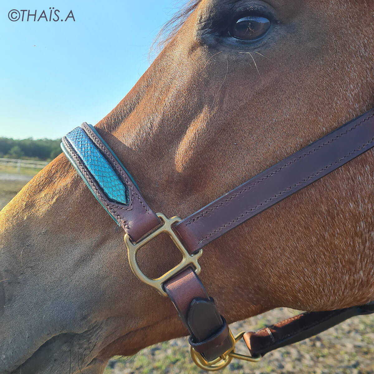 Anneau de licol à 3 passants en laiton massif - Deco Cuir