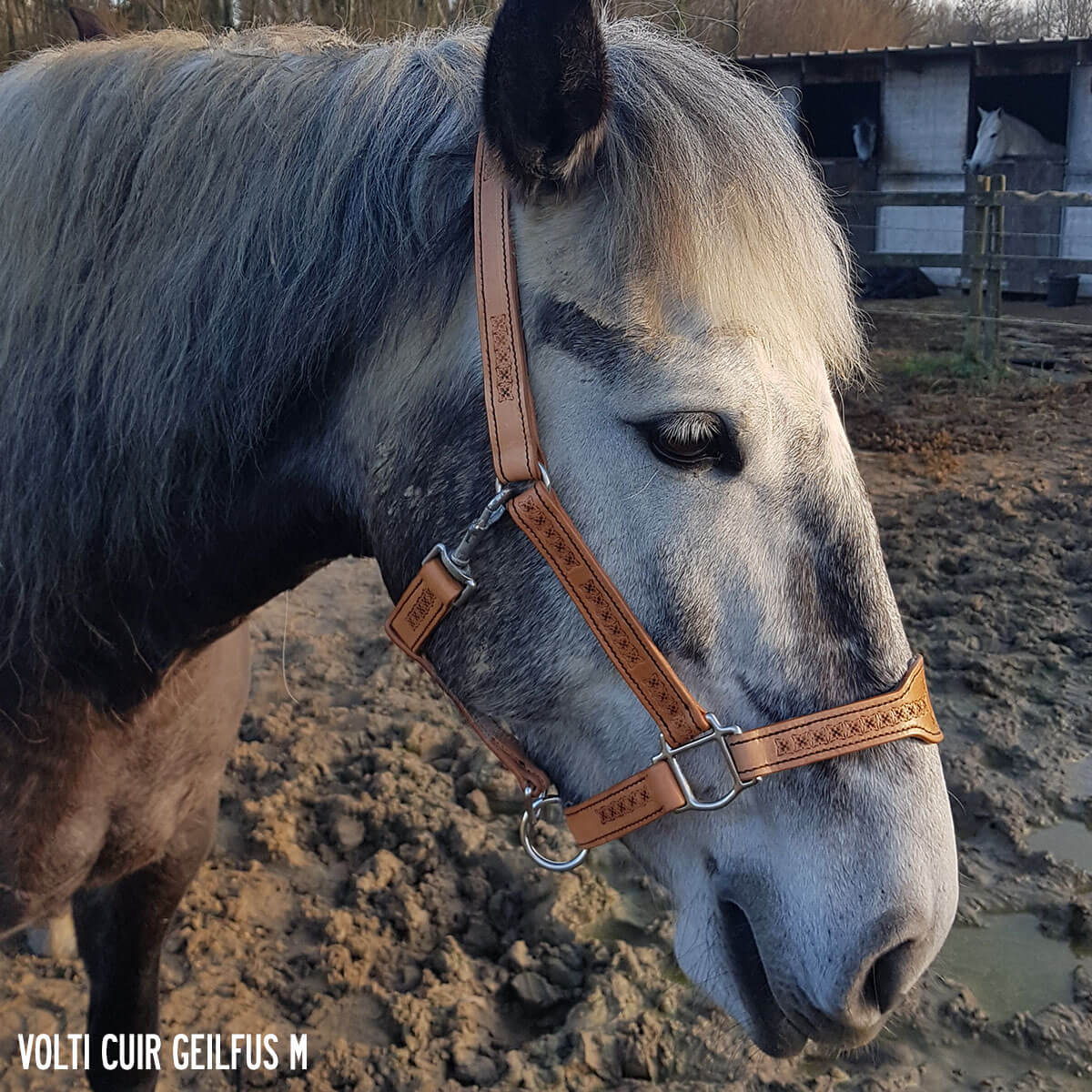 Lanière en cuir de collet tannage végétal - NATUREL - Ép 3,4mm - Deco Cuir