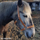 Lanière en cuir de collet tannage végétal - NATUREL - Ép 3,4mm - Deco Cuir