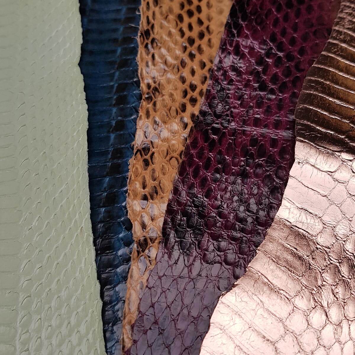 cuir de serpent véritable