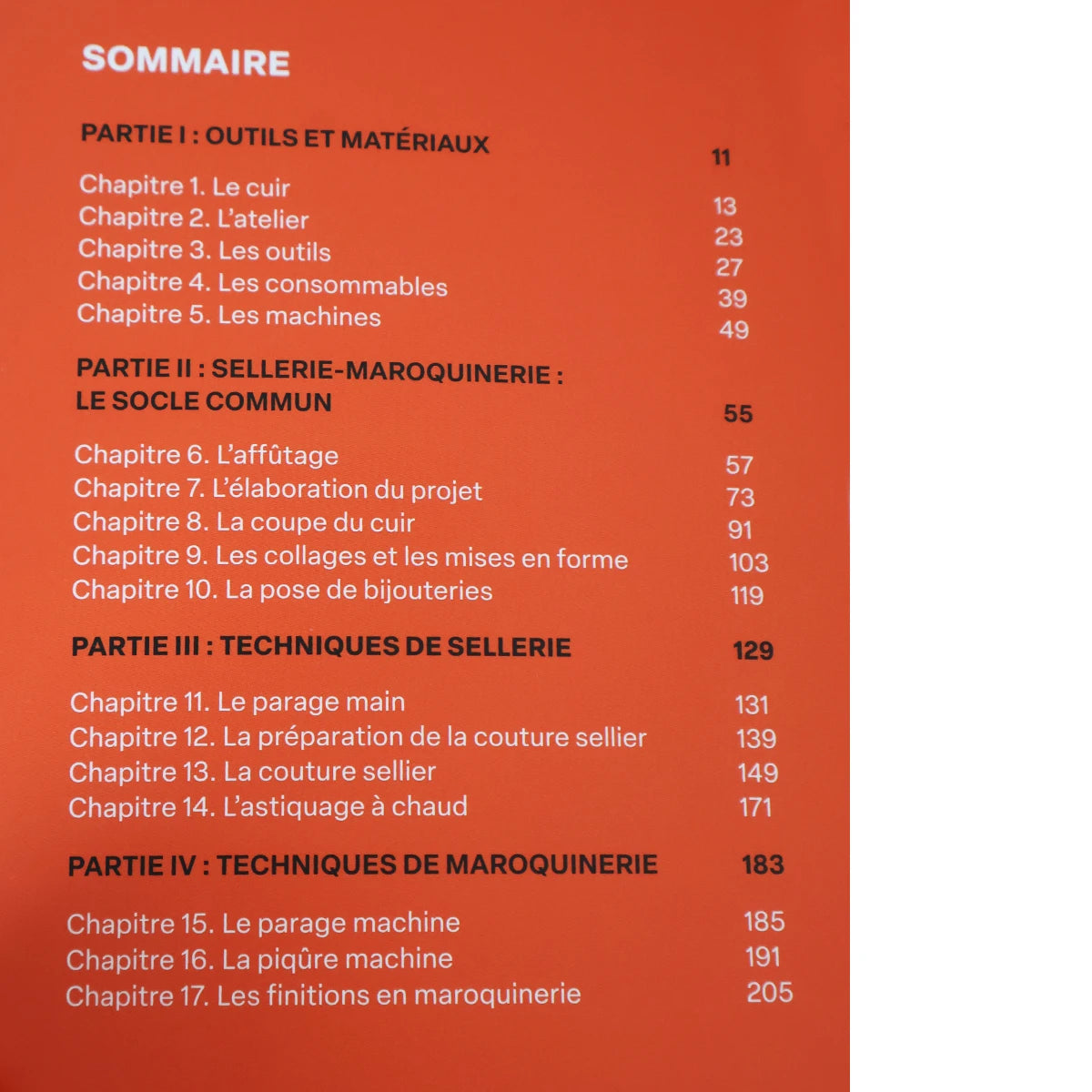 livre travail cuir débutant