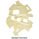 CH1904-Lot-1kg-peau-cuir-autruche-VANILLE-2-.jpg