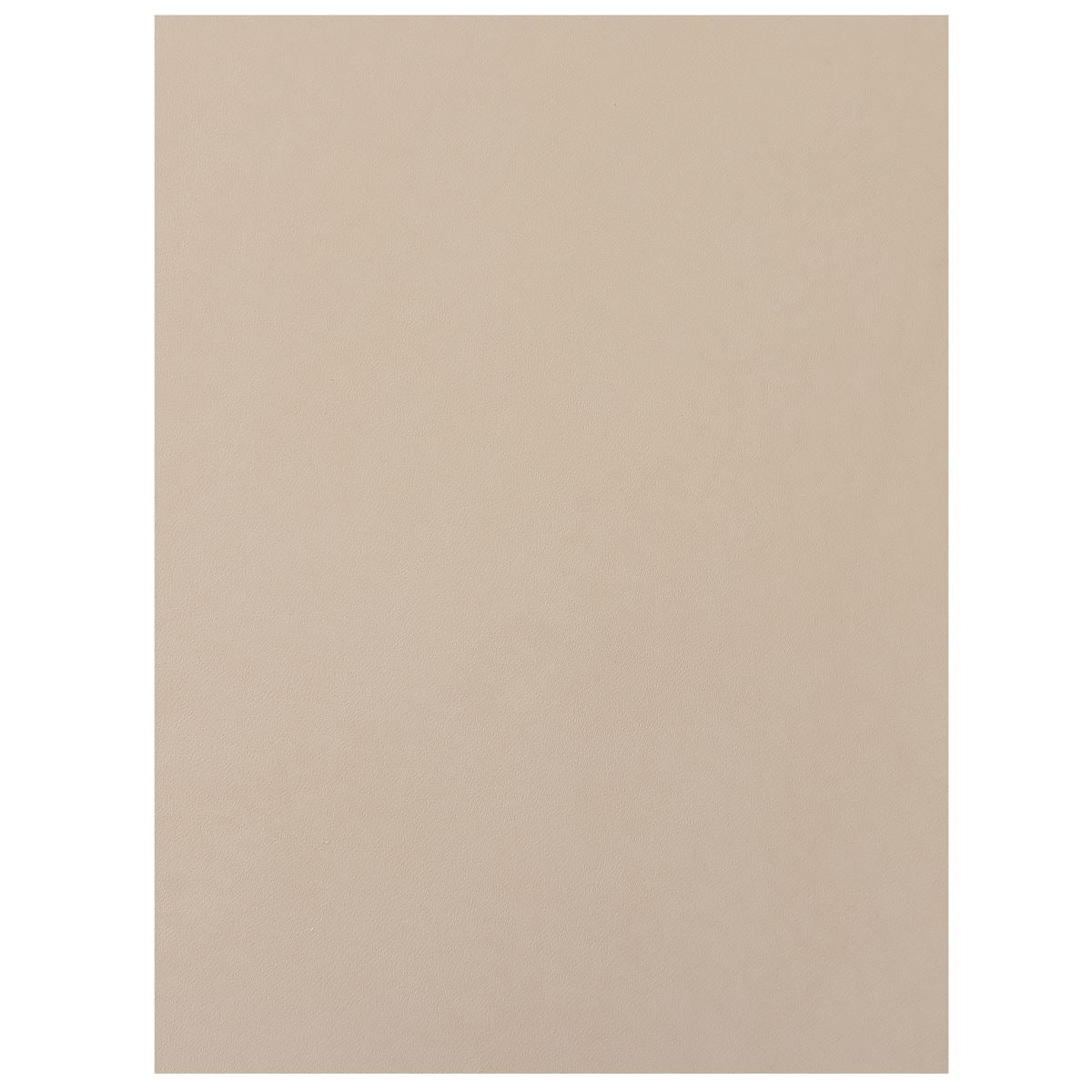 Morceau de collet tannage végétal naturel CLASSIC - Envers résiné incolore - Deco Cuir