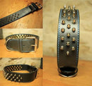 Collier pour chien à pointes - Matthieu DURAND 05.jpg