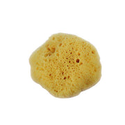 Éponge naturelle de 4 cm pour teintures et peintures, idéale pour application précise, fabriquée par Autres.