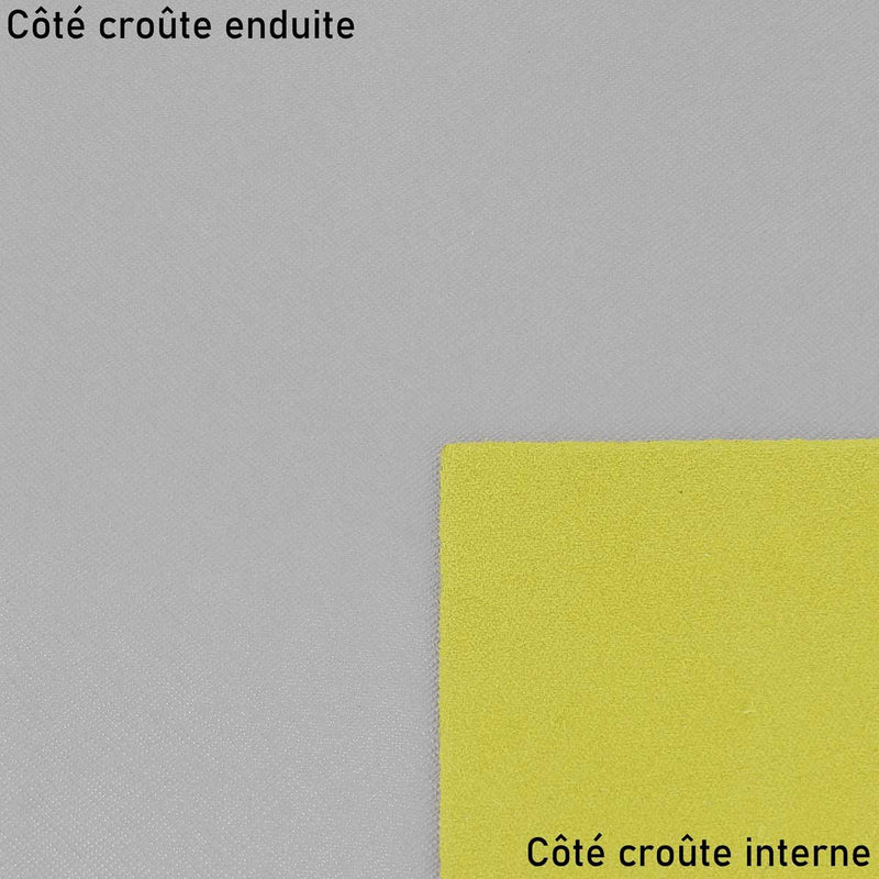 LPE08-Morceau-de-croute-de-cuir-enduite-grain-saffiano-ARGENT-2-.jpg