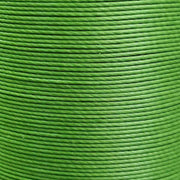 MS027zoom.jpg