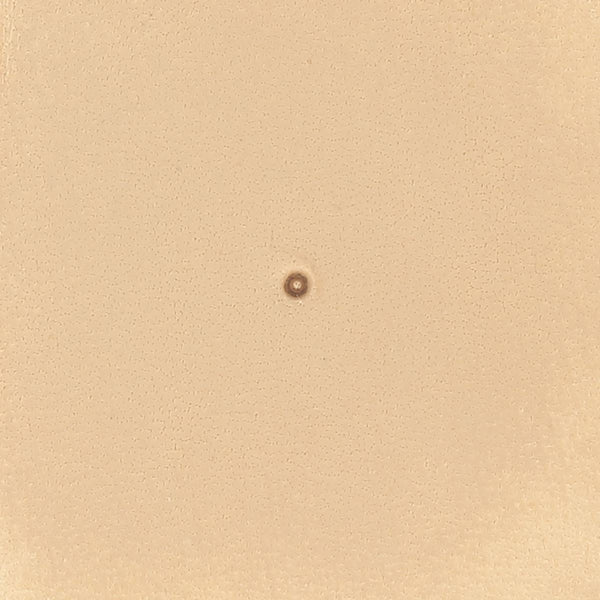 Matoir sur manche - Point - 6931x300.jpg