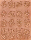 TL_75000 - Calque - PLANTESx1200.jpg