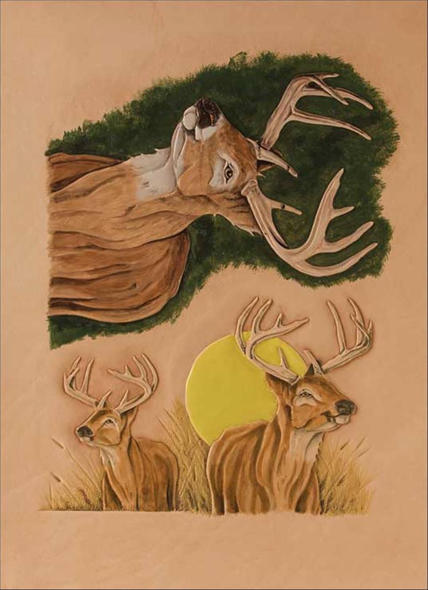 TL_76643 - Calque - CERFSx1200.jpg