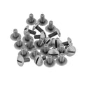 VIS-3X7-AGV-25-Lot-de-25-vis-3x7-mm-argent-vieilli.jpg