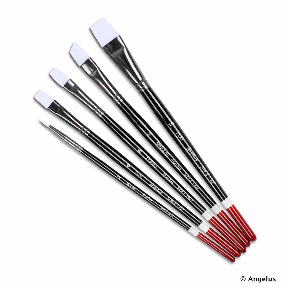 WA076-Set-de-5-pinceaux-Angelus-2-.jpg