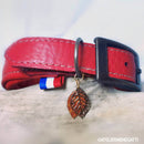collier-chien-cuir.jpg