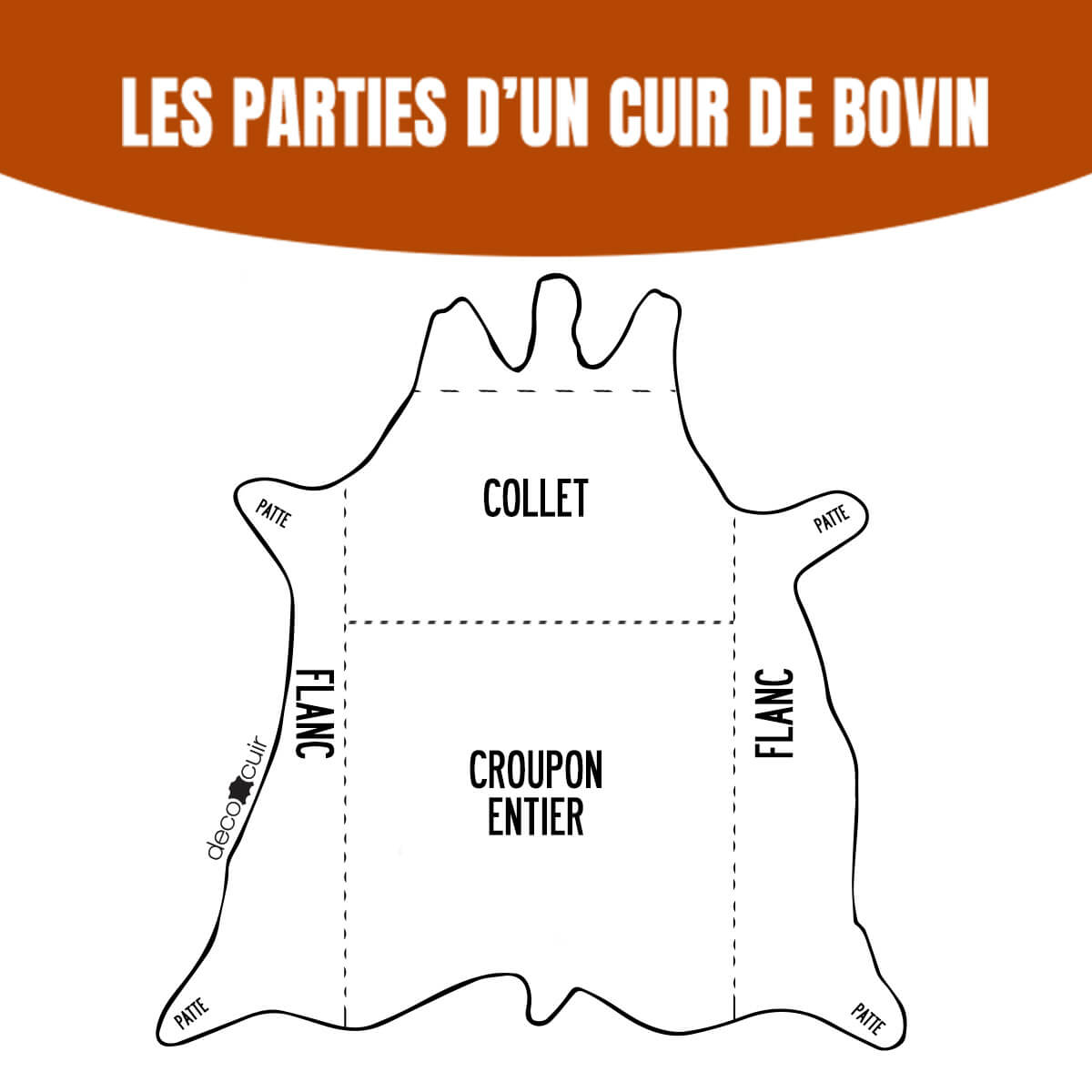 Morceau de cuir de collet tannage végétal NATUREL - CLASSIC - Deco Cuir