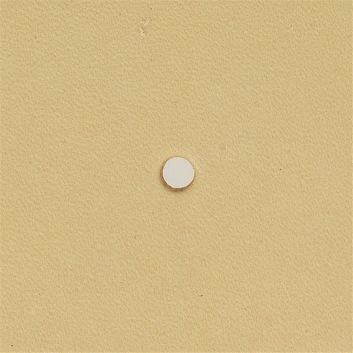 emporte piece de precision ROND 3,5mm 02x600.jpg