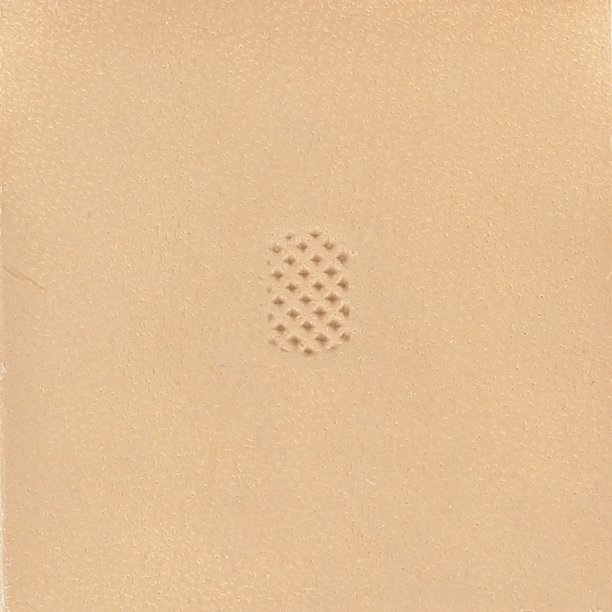 matoir TL_6885_00.jpg