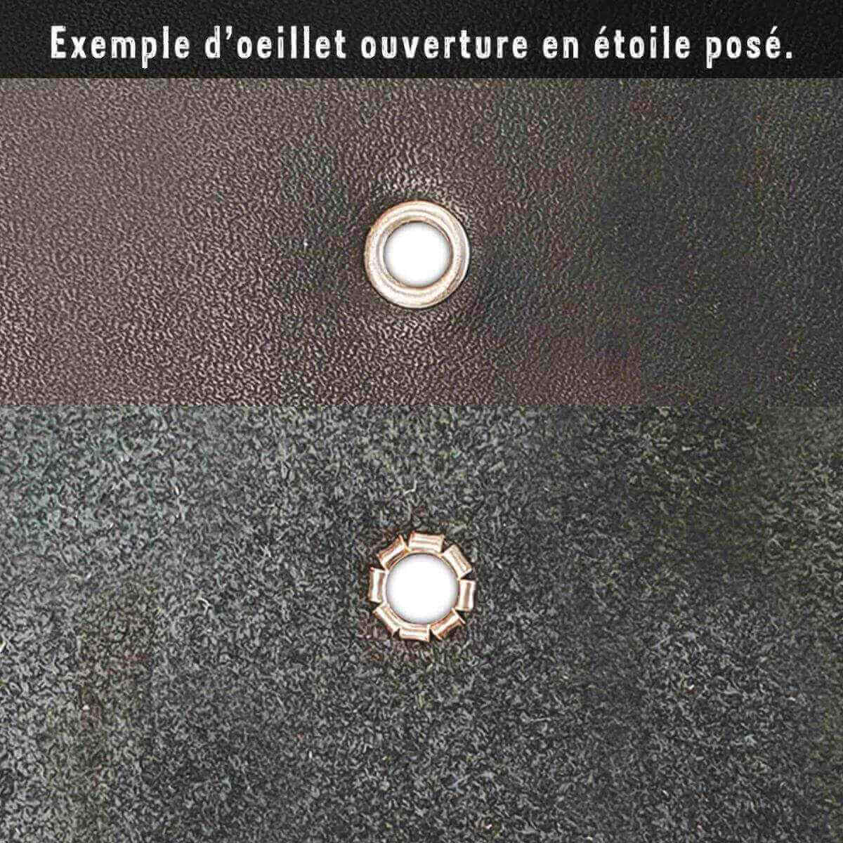 pose-oeillet-etoile-zoom.jpg