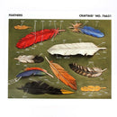 Calque réutilisable pour le transfert de motifs sur cuir - PLUMES - Deco Cuir